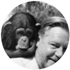 Gerald Durrell