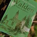 Walden sau Viața în pădure - gallery small 