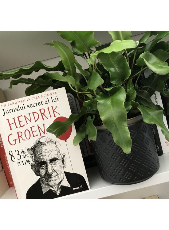 Jurnalul secret al lui Hendrik Groen, 83 de ani şi ¼ - gallery big 3