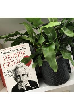 Jurnalul secret al lui Hendrik Groen, 83 de ani şi ¼