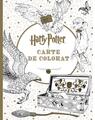 Harry Potter - carte de colorat - thumb 1