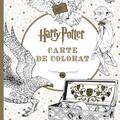 Harry Potter - carte de colorat - gallery small 