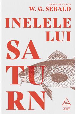 Inelele lui Saturn