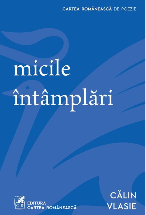 micile întâmplări