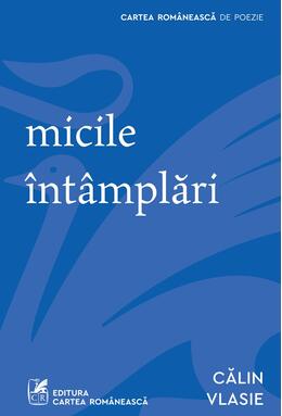 micile întâmplări