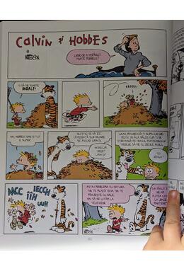 Colecția esențială Calvin și Hobbes