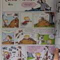 Colecția esențială Calvin și Hobbes - gallery small 