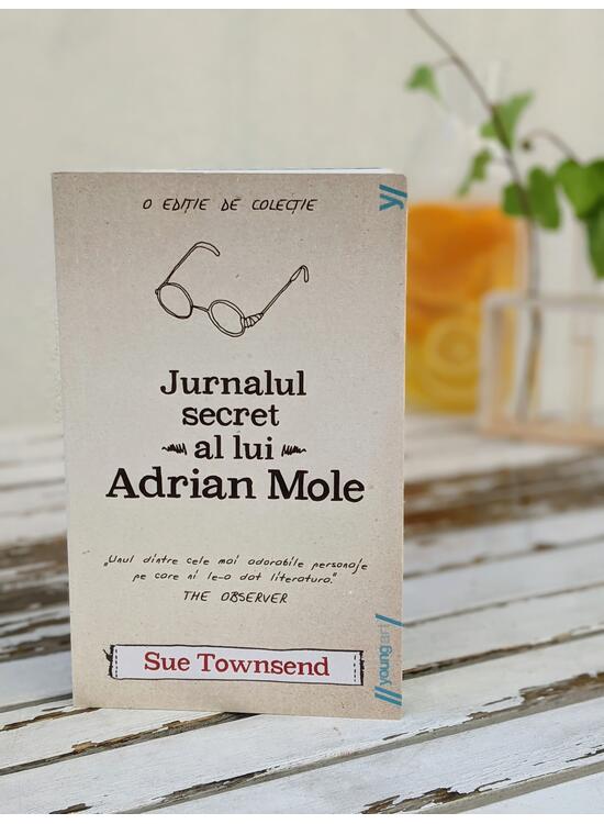 Jurnalul secret al lui Adrian Mole | paperback - gallery big 2