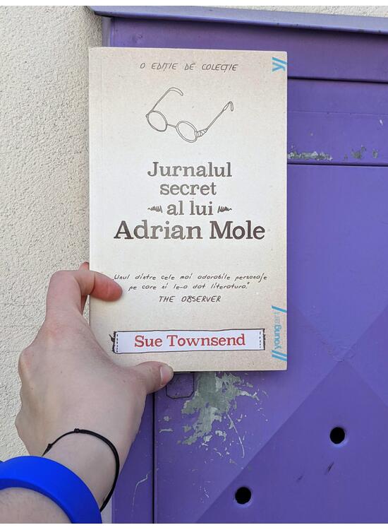 Jurnalul secret al lui Adrian Mole | paperback - gallery big 4