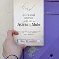 Jurnalul secret al lui Adrian Mole | paperback - gallery small 