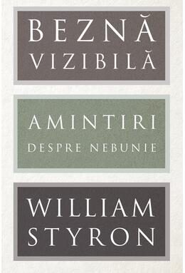 Beznă vizibilă. Amintiri despre nebunie