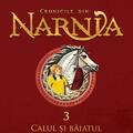 Pachet Integrala Cronicile din Narnia (volumele II-VII) - gallery small 