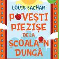 Pachet Sachar ( Tabăra, Povești piezișe de la Școala-n Dungă) - gallery small 