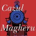 Cazul Magheru - gallery small 