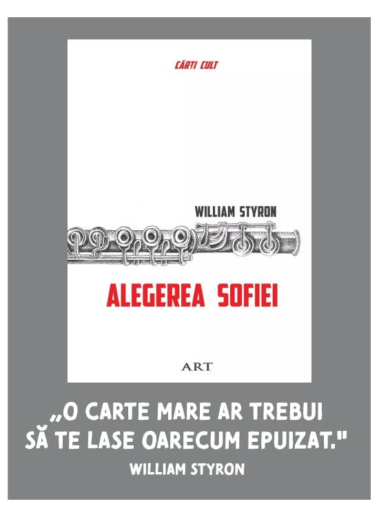 Alegerea Sofiei - gallery big 6