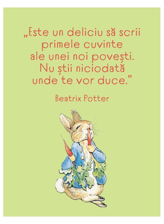 Beatrix Potter - carte de colorat - gallery big 7