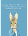 Beatrix Potter - carte de colorat - thumb 8