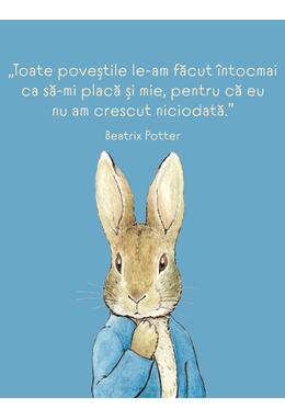 Beatrix Potter - carte de colorat