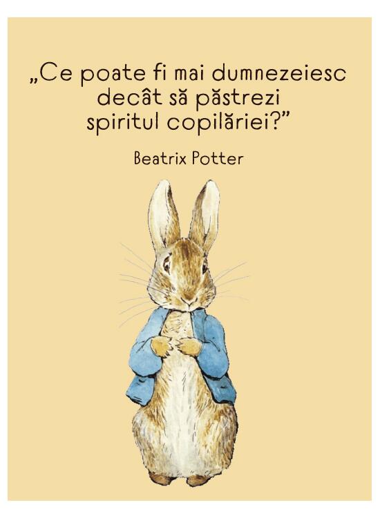 Beatrix Potter - carte de colorat - gallery big 9