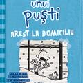 Pachet Jurnalul unui puști ( volumele 4-6) - gallery small 