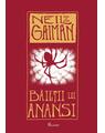 Pachet Gaiman Paladin ( Pulbere de stele, Băieții lui Anansi, Zei americani) - thumb 2