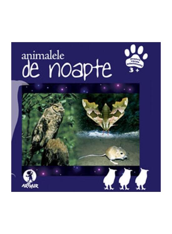 Animalele de noapte - gallery big 1