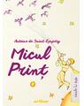 Micul Prinţ - thumb 1