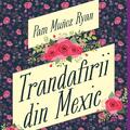 Trandafirii din Mexic - gallery small 