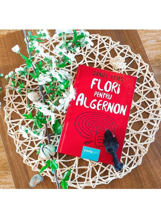 Flori pentru Algernon - gallery big 3