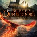 Animale fantastice #3: Secretele lui Dumbledore (Scenariul complet) - gallery small 