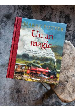 Harry Potter: Un an magic, ilustrată de Jim Kay