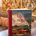 Harry Potter: Un an magic, ilustrată de Jim Kay - gallery small 