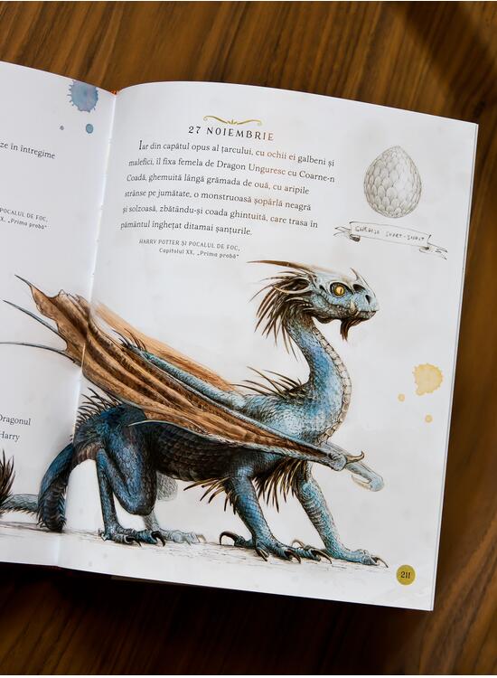 Harry Potter: Un an magic, ilustrată de Jim Kay - gallery big 7