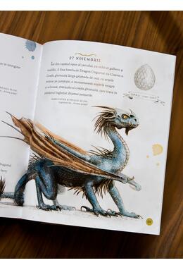 Harry Potter: Un an magic, ilustrată de Jim Kay