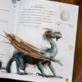 Harry Potter: Un an magic, ilustrată de Jim Kay - gallery small 