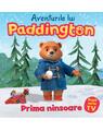 Pachet Aventurile lui Paddington (Dorința de Crăciun, Lista greșită, Ziua iubirii, Prima ninsoare) - thumb 5