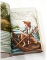 Aventurile lui Huckleberry Finn | paperback - thumb 6