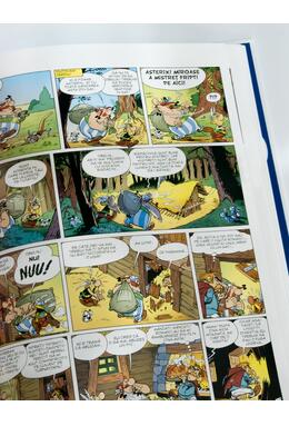 Asterix și Turul Galiei (vol. 5)