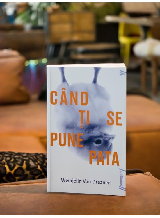 Când ți se pune pata | paperback - gallery big 4