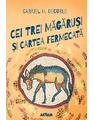 Pachet lecturi pentru 10 ani (Cartea năsoaselor, Aventurile piratului Ket, Cei trei măgăruși și cartea fermecată, Plictisitoarea vacanță de vară a fraților Rățoi) - thumb 4