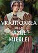 Vrăjitoarea de la Iazul Mierlei | paperback