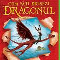 Cum să-ți dresezi dragonul - gallery small 