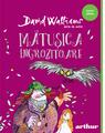 Pachet Walliams Funny Green (Domnul Sconcs, Mătușica îngrozitoare) - thumb 3