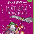 Pachet Walliams Funny Green (Domnul Sconcs, Mătușica îngrozitoare) - gallery small 