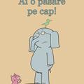 Ai o pasăre pe cap! | paperback - gallery small 