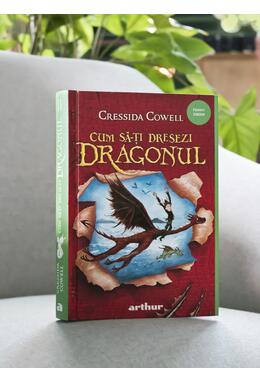 Cum să-ți dresezi dragonul