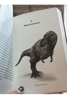 Începutul și sfârșitul dinozaurilor