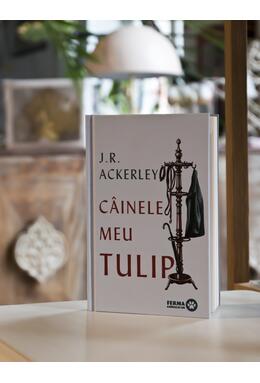 Câinele meu Tulip