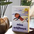 Mica Vrăjitoare | paperback - gallery small 