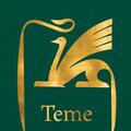 Teme - gallery small 